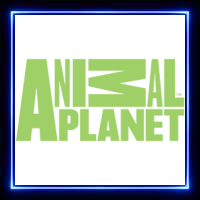 MX | ANIMAL PLANET SD